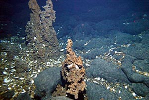  Two extinct sulfide chimneys (about 2 m and 1 m high) built on pillow lavas and surrounded by dead mussel shells were found during Dive 3795 today.