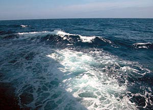 The view from the starboard side of R/V Atlantis. The ocean appears calm, and its opacity hides what&rsquo;s beneath it. But Expedition 7 is concerned with what lies below the surface. At the time this photograph was taken, we were passing over the Muir seamount.  