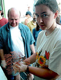 Biologist Kate Buckman, with colleague Tim Shank looking on, holds one of several prizes from the "bio box" portion of Alvin's collection basket: Caught in the lacy web of a Metallo gorgia living coral, lies a basket star.