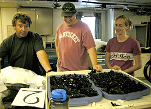 The big haul. It's times like this that all the effort feels worthwhile. These trays of Desmophyllum cristagalli are but a small portion of what today's dive brought in. Scientist Selene Eltgroth, right, is especially excited because she's due to dive tomorrow.  