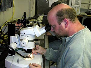 Scientist Tim Shank, observing aplacophorans under a ship microscope. Today's dive picked up seven of these worm-like mollusks, for the first time this cruise.