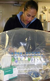 Microbiology Technician Sheryl Bolton of the University of Washington monitors microbes under an oxygen-free tent. Oxygen would kill these microbes, called thermophiles, which have been sampled from sulfide rock at the Mothra hydrothermal vent field.