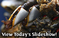 View Today's Slideshow!
