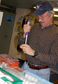 Chemist David Butterfield of the University of Washington uses a pipette for analysis of dissolved silica. In diffuse environments at hydrothermal vents, where hot water from vents mixes with the cold surrounding seawater, measuring silica helps to determine the amount of mixing that takes place.