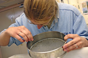 Biologist Abby Knee leaves no hydrothermal vent animal behind. She uses a sieve, tweezers, and watchful eyes to make sure she doesn�t miss a single snail, worm, or limpet. (Photo by Amy Nevala)