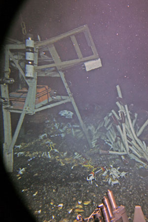 Today Alvin moved this time-lapse camera into position by a clump of tubeworms. The previous night, researchers had lowered on the cable to the seafloor then released it with an acoustic command. (Photo by Woods Hole Oceanographic Institution)