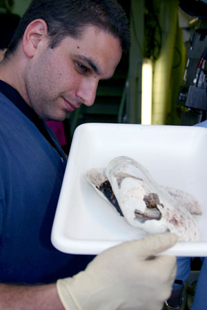 Divers in Alvin brought back several clamshells from Mussel Bed today, remnants of a once-vibrant seafloor community that no longer supports life. Microbiologist Kevin Penn notices that the shells develop holes as they disintegrate on the seafloor. 