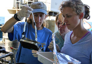 Scientists Stace Beaulieu (left), Naomi Ward, and Breea Govenar wear gloves to keep panels used to collect colonizing larvae on the seafloor free of human bacteria that could contaminate their research experiments. On shore, biologists will look at the panels to learn how the larvae of tubeworms, mussels and other vent animals settle and establish new communities. (Photo by Amy Nevala)