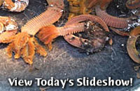 View Today's Slideshow!