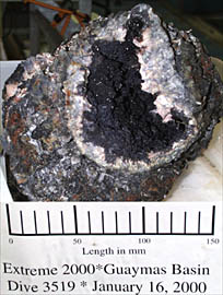 Alvin brought back this chimney sample made of iron and zinc sulfides and calcium carbonate.