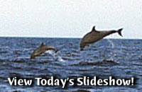 View Today's Slideshow!