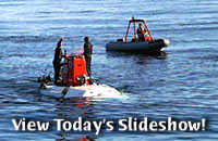 View Today's Slideshow!