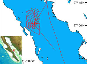 This detailed bathymetric map shows the multibeam sonar survey tracks conducted at night while Alvin’s batteries were charging. It is the first complete, detailed map of the Guaymas Basin. 