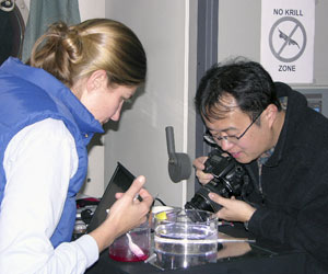 Palmer Station enjoys long beautiful sunsets in the fall, such as this one, seen from the Gould. (Photo by L. Von Harbou)