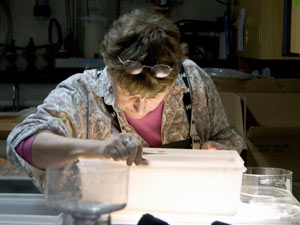 5:00 a.m.: Pat Kremer, on a night schedule, works when other scientists drift off. iPod in her ear, she is measuring the aggregate chains and humming happily. (Photo by Jun Nishikawa, University of Tokyo)