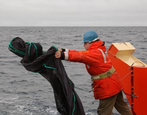 Standing on the back of the stern with a safety harness on to hold him, Erich throws the net’s collecting containers into the ocean before launching the net. (Photo by Larry Madin, WHOI)