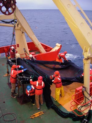 After the net returns, it takes a crew of nine to collect the fabric and fasten it to the frame. (Photo by Diane DiMassa, Massachusetts Maritime Academy) 