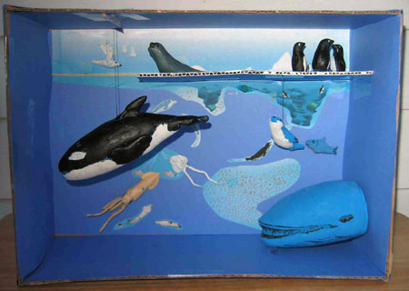 student model of ecosystem