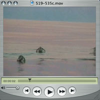 March 1 video launch about MOCNESS