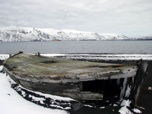 Whaling boats in ruin lie on the beach at Whaler’s Bay, Deception Island. (Photo by Jun Nishikawa, University of Tokyo)