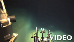 joan bernhard interview