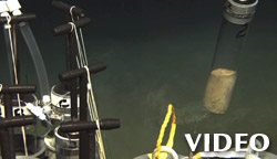 joan bernhard interview