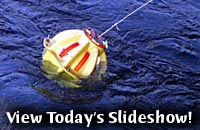 View Today's Slideshow!