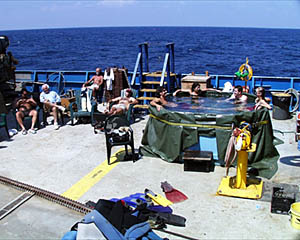 Afternoon pool call on the fantail of R/V Atlantis. .