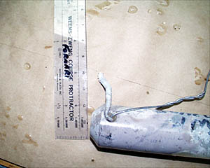 Another smaller tube worm, called a "tevnia," was found attached to a second temperature probe (HOBO) that Dan had placed in the chimney of a hydrothermal vent months ago. This little fellow's white casing extends from inside the cylindrical probe toward the top of the picture.