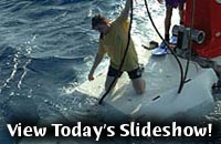 View Today's Slideshow!