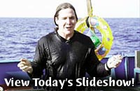 View Today's Slideshow!