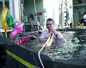 Del fishes for his clothes which mysteriously have been dropped in the pool. 