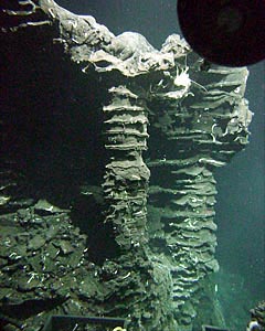 Two lava pillars support part of a remnant of the lava lake erupted in 1991 in the Axial Summit trough of the East Pacific Rise near Marker 92. The horizontal ribs, or selvages, are formed as the eruption wanes and the ponded lava withdraws back into the fissure or out across the ridge crest. Distance across bottom of the photograph is about 3 meters.