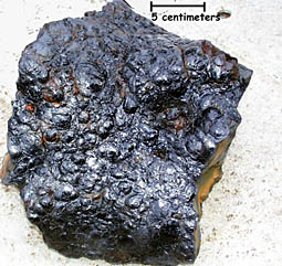 One of the lava samples recovered in Dredge #3. The bumpy, shiny surface is the outer rind of the lava. It is glassy because the molten rock that erupts at the seafloor chills immediately on contact with the 2°C seawater. The scale bar at the upper right gives you a good idea of the size of the sample. Scientists try to quantify, or give accurate scales to, the things they study; geologists are no exception.