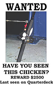 The poster of Feathers, Dan’s chicken, that the Pollywogs have put up all over the ship. If the Pollywogs know what’s good for them, they’ll put Feathers back on Dan’s computer! 