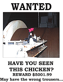 Dan is worried about Feathers! The Pollywogs are letting him go places where he shouldn’t be! We are towing Argo II -- and the last place for a chicken to roost is on the level-wind of the winch! As the cable is let out or pulled in, the level-wind keeps the wire wound neatly on the drum so the cable does not get tangled or piled up in one place. Dan thinks it’s time for Feathers to come back to roost on his computer. What do you think?