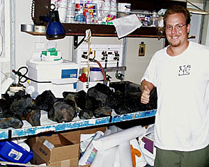 The youngest looking lava collected so far on this expedition! Erin Todd is all smiles at the great dredge haul collected last night during Dredge 10 near 1° 43.5’N latitude from a small volcanic mound. The glass on the surface of the pillow lava pieces is very fresh and is not weathered at all. This means that it was erupted very recently and may be the 1997 eruption detected by the Autonomous Hydrophone Array.