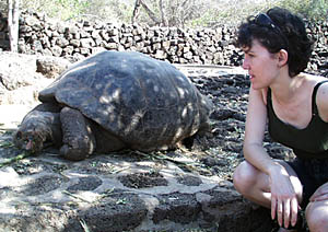 The Darwin Research Station has a large program concerning the ecology and preservation of Galapagos tortoises. They maintain a breeding program to help stabilize endangered populations of tortoises on some of the islands, and promote education and conservation. Here, Maya Tolstoy watches one of the tortoises eat. We were told that these tortoises can go without food or water for up to a year! They are well adapted to the harsh, dry and vegetation-poor environment on young volcanic islands like the Galapagos.