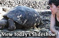 View Today's Slideshow!