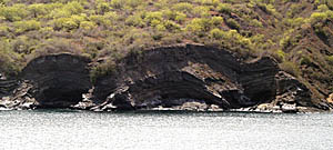 Some of the wave cut cliffs in Tagus Cove were used by pirates and whaling ships several hundred years ago as shelters. The layers in the rock cliff are made by tephra, or volcanic ash, which is deposited when lava flows reach the shoreline and the hot lava causes the water to flash to steam. This creates explosions which shatter the lava and form the fine ash layers.