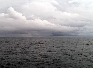 The sky this afternoon was cloudy and the sea was a gray/blue color. For the first time in weeks, we actually had a few whitecaps that were stirred up by the gusts of winds that accompanied the rain squalls. 
