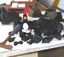 Some of the glassy lava samples collected today. Geologists usually put hammers in photos of rocks for scale. Feathers wanted to get into the act too! 