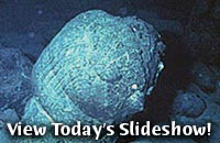 View Today's Slideshow!