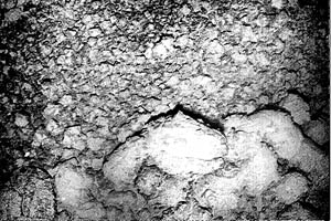 Some contacts between different seafloor terrains are easy to see. This Argo II electronic still camera (ESC) image shows the edge of a pillow lava flow (along bottom edge) spilling out over talus, or broken-up pillow fragments (along middle and top edge of photo). The distance across the bottom of the image is about 4 meters.