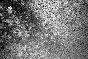 An area of black glassy sand and gravel that we observed on the summit of the western volcano in the Galapagos Rift valley. The black streak from upper left to lower right is an accumulation of sand-sized volcanic glass in a shallow trough. We often observed this material next to talus or debris slopes associated with faults. The whitish coating on the rock at the upper left corner of the photo is low temperature hydrothermal clay. This suggests that the faults may be tapping into a hydrothermal fluid cell beneath this portion of the Galapagos Rift. The bottom of photo is about 4 meters across.