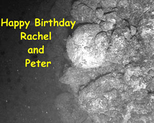 A large fault scarp that Argo II went over during the last lowering. Some of the faults were more than 10 meters high! It required great skill by those “flying” Argo II not to hit the bottom. This very steep slope has intact pillow lavas sticking out of it. Distance across the right side of the photo is about 3 meters. Today is Rachel Haymon’s and Peter Lean’s Birthday. We thought we'd surprise them by sending them Birthday Greetings from the seafloor. HAPPY BIRTHDAY!