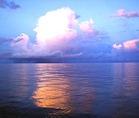 Calm seas, excellent weather, and beautiful sunsets were the norm during this entire expedition. With this spectacular sunset on our transit to Manzanillo, we bid you farewell from all of us on Expedition #3!