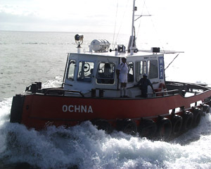 A pilot boat from Mauritius meets the ship at a buoy outside Port Louis. The pilot (in white) climbs aboard Knorr and guides it into port from the ship’s bridge. He knows the tides, currents and any rocks or hidden objects offshore that might interfere with the Knorr’s docking.