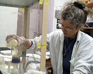 A clean work space is critical for Chemist Charlotte Meredith, busy analyzing water samples collected at the plume site 24°S. She wears rubber gloves and works behind a protective plastic hood to keep even the smallest contaminants out of the samples.