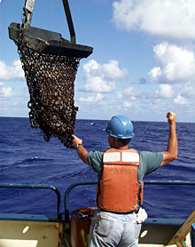  Bosun Al Hopkins signals to the crane operator bringing the rock dredge back on board Knorr this afternoon.  